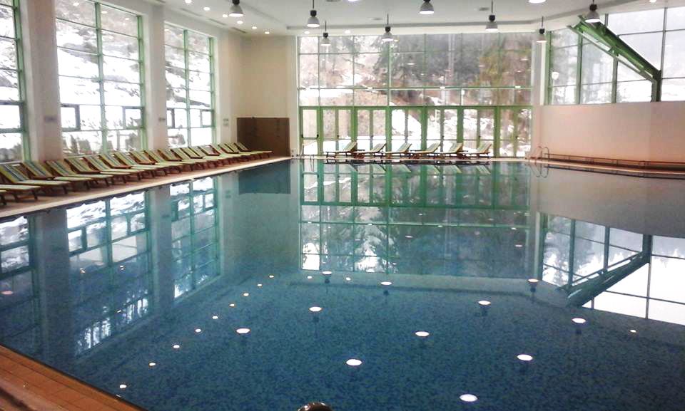 wellness 1