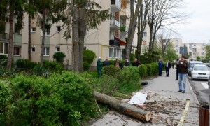 ACCIDENT DE MUNCA