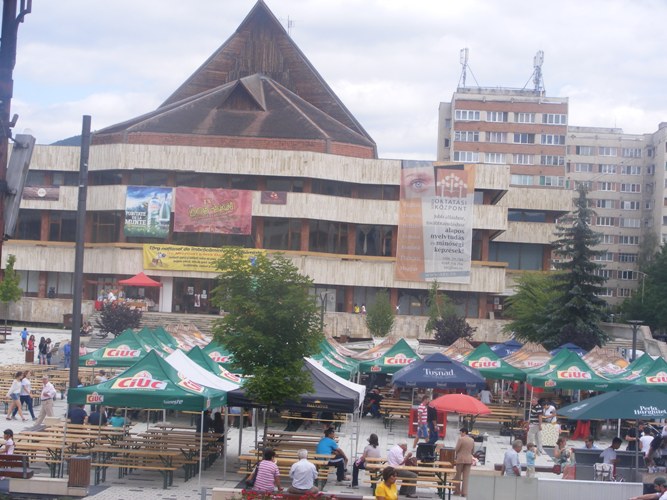 zileciuc