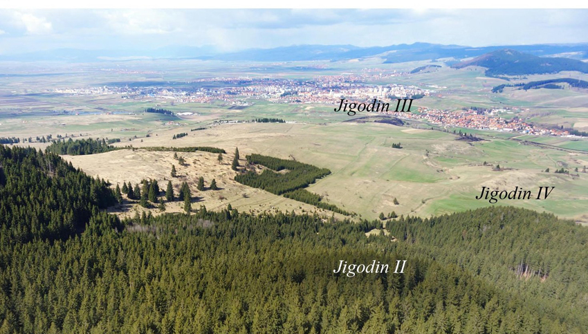 Cetati Jigodin