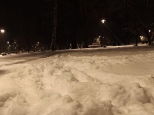 iarna