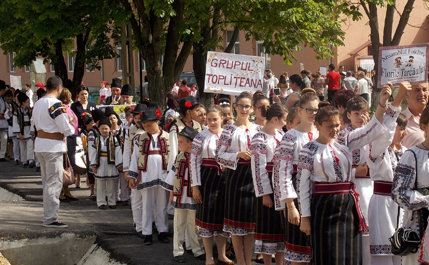 festsarmas