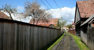 ciceu