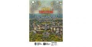 ziletop1