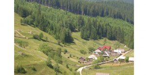 padBilbor
