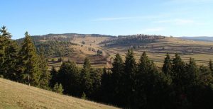 natura pajisti