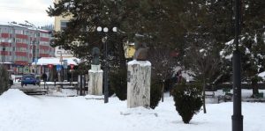 parcToplita