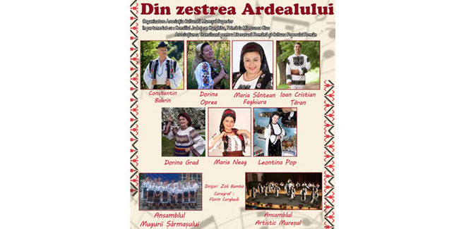 dinzestrea