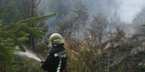 incendiuveg1