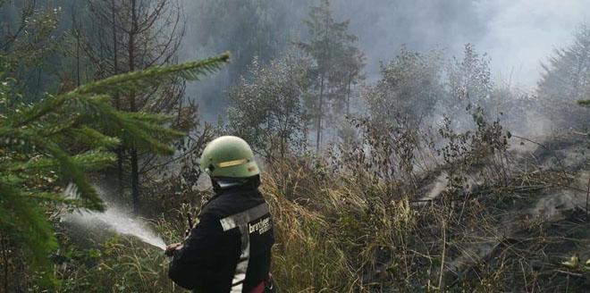 incendiuveg1