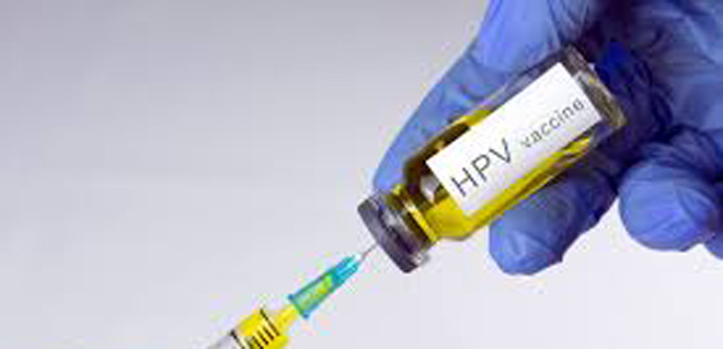 hpv2