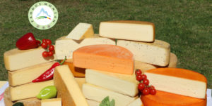 prodmontan1