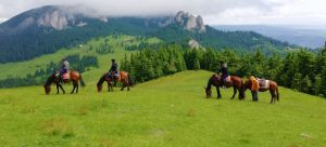 calarie