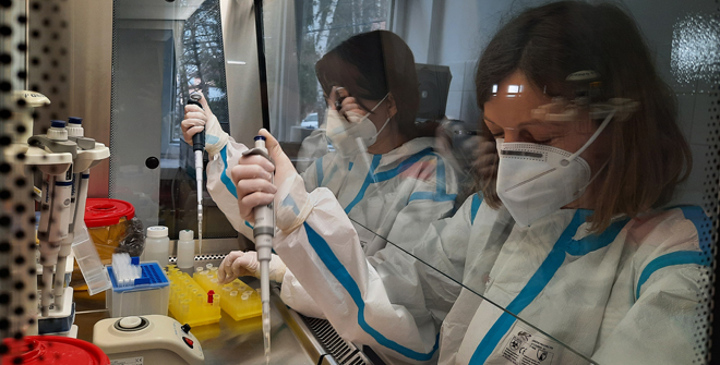 Laborator diagnoză moleculară
