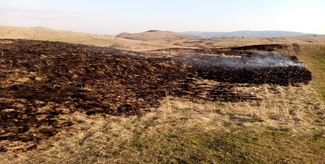 incendii vegetatie