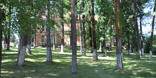 spital centru