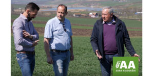 Agra Asigurări_Dorel Istrate