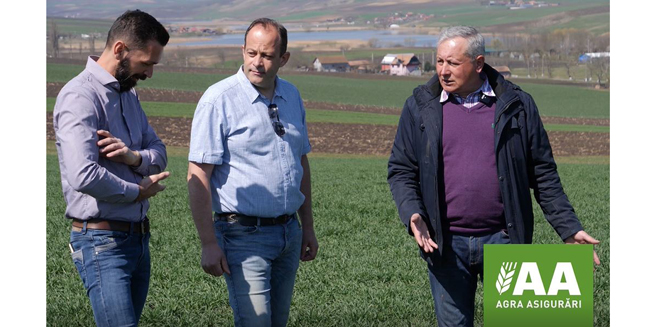 Agra Asigurări_Dorel Istrate