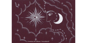 ilustratie Cosmina 1