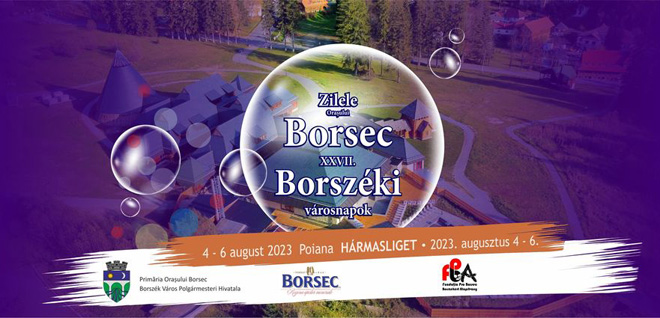 zileBorsec